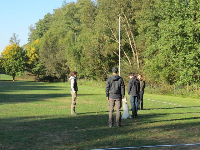 BH-Pruefung-Herbst 2018
