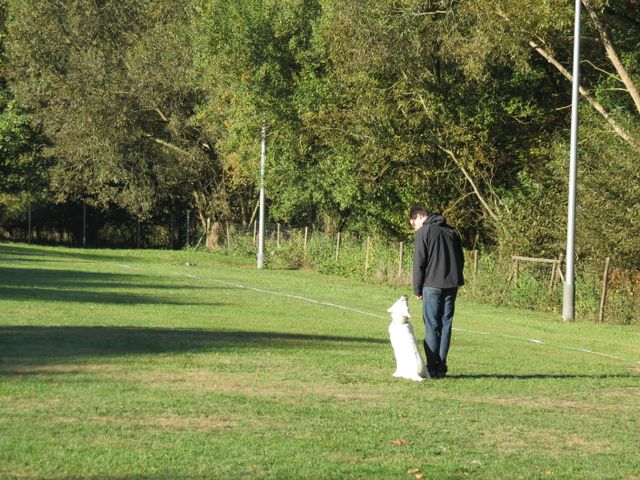 BH-Pruefung-Herbst 2018