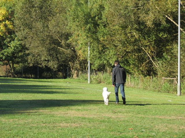 BH-Pruefung-Herbst 2018