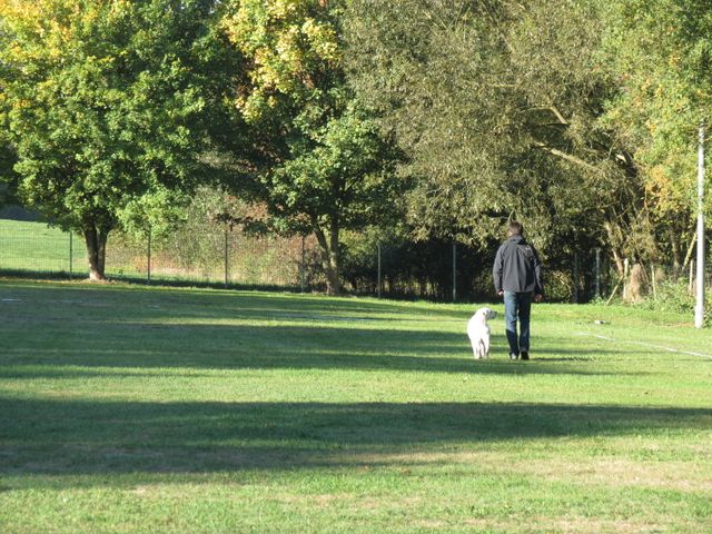 BH-Pruefung-Herbst 2018
