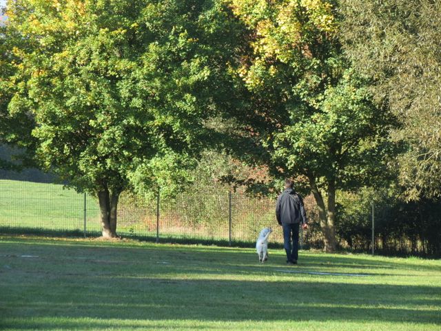 BH-Pruefung-Herbst 2018