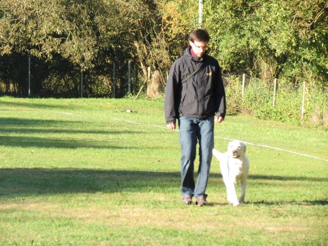 BH-Pruefung-Herbst 2018