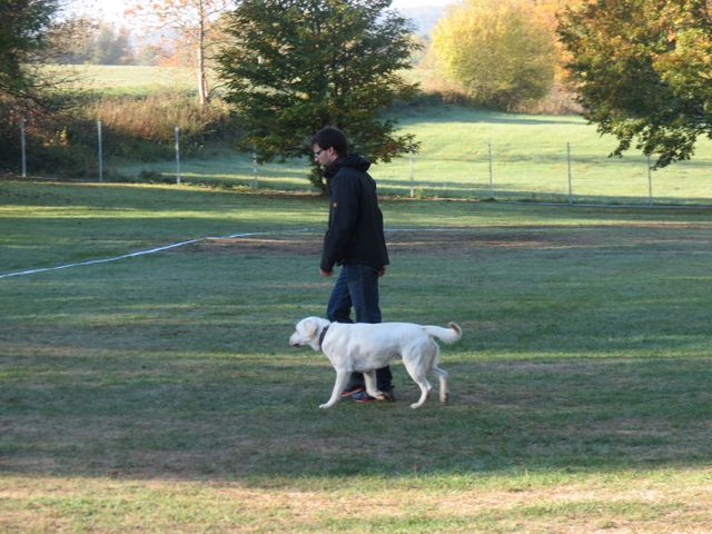 BH-Pruefung-Herbst 2018