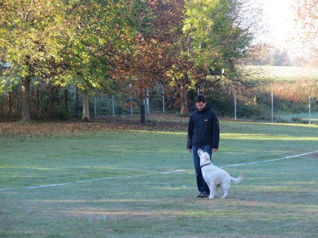 BH-Pruefung-Herbst 2018