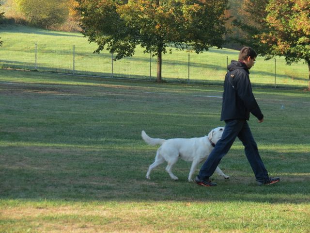 BH-Pruefung-Herbst 2018