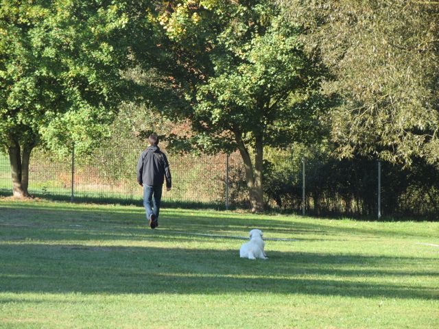 BH-Pruefung-Herbst 2018