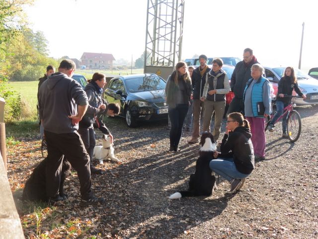 BH-Pruefung-Herbst 2018