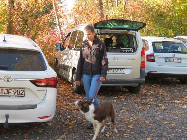 BH-Pruefung-Herbst 2018