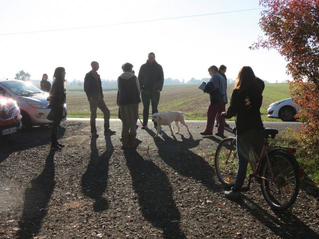 BH-Pruefung-Herbst 2018