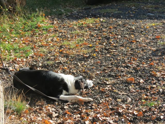 BH-Pruefung-Herbst 2018