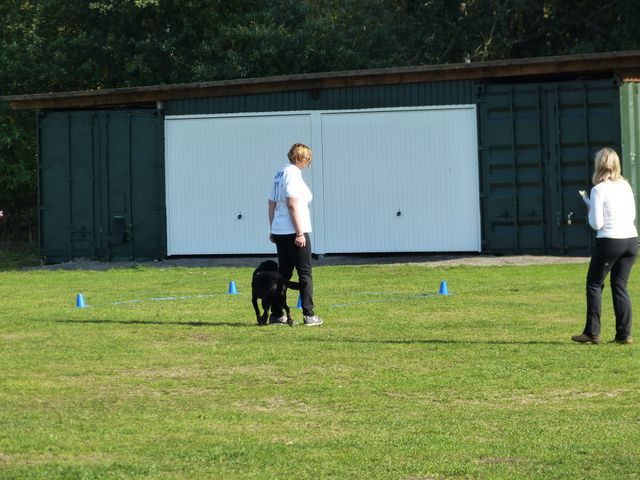 OBI-DM 2018