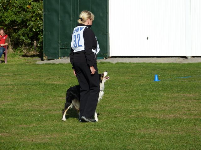 OBI-DM 2018