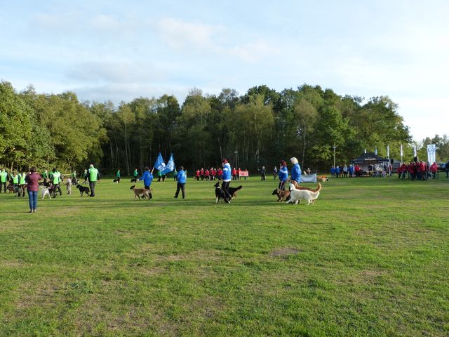 OBI-DM 2018