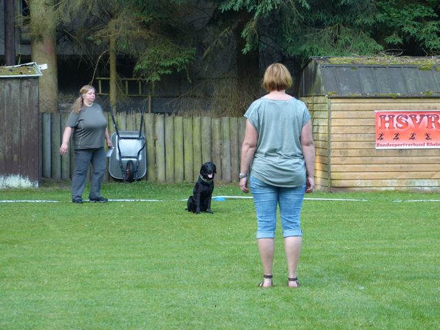 OBI-LM 2018