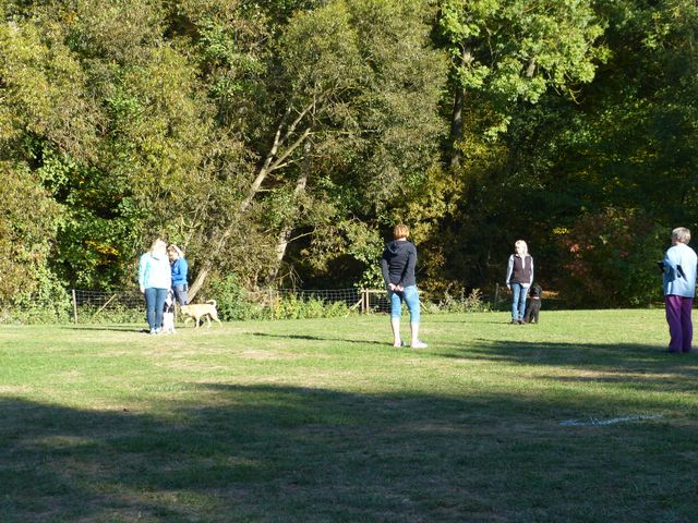 Obi-pruefung-herbst 2018