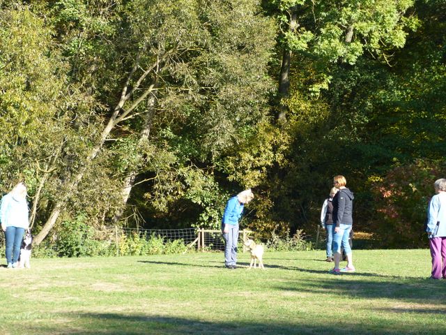 Obi-pruefung-herbst 2018