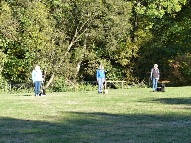 Obi-pruefung-herbst 2018