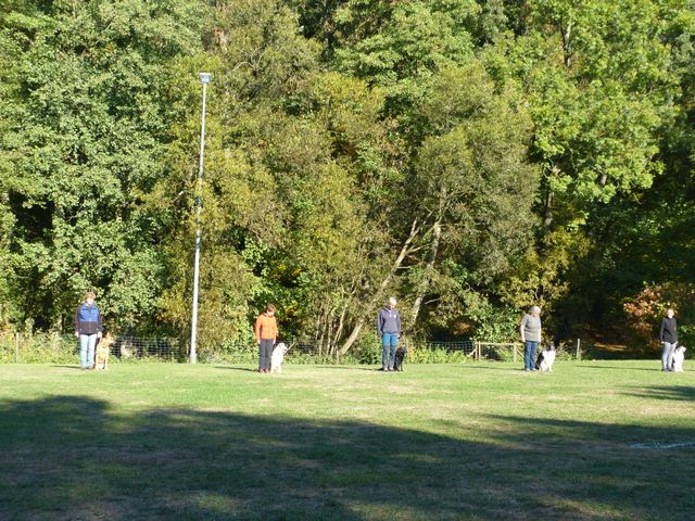 Obi-pruefung-herbst 2018