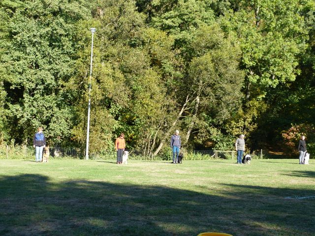 Obi-pruefung-herbst 2018