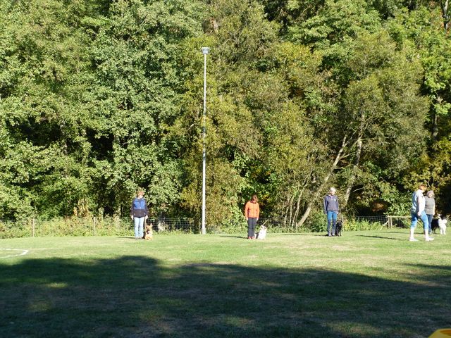 Obi-pruefung-herbst 2018