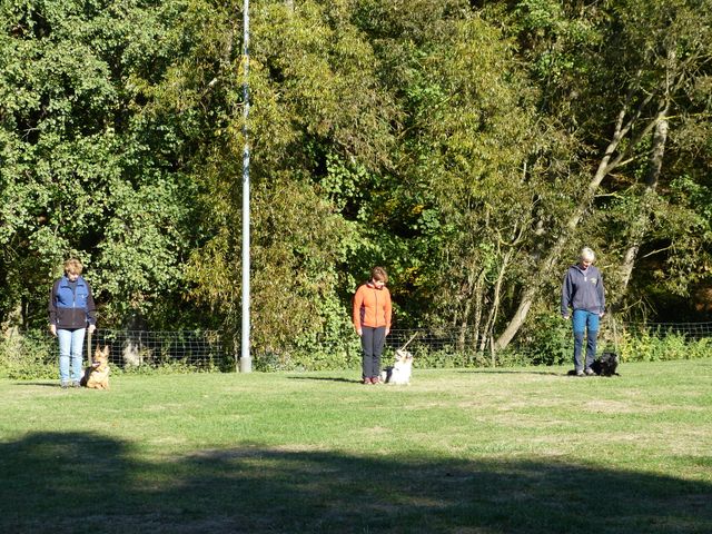 Obi-pruefung-herbst 2018