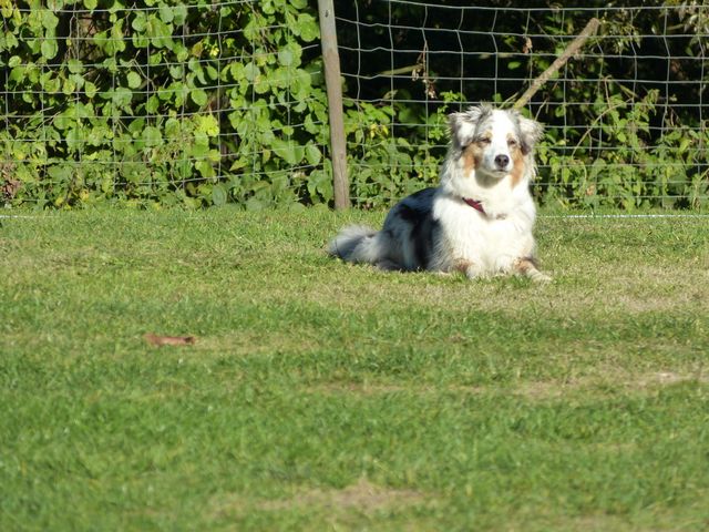 Obi-pruefung-herbst 2018