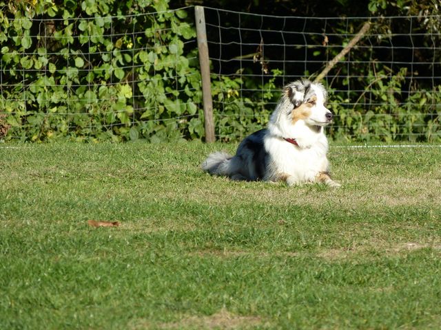 Obi-pruefung-herbst 2018