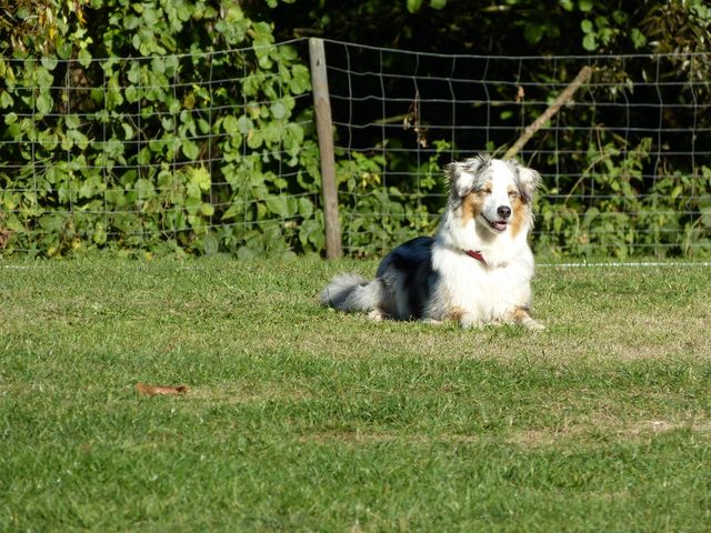 Obi-pruefung-herbst 2018