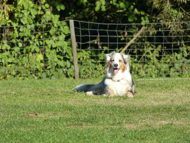 Obi-pruefung-herbst 2018