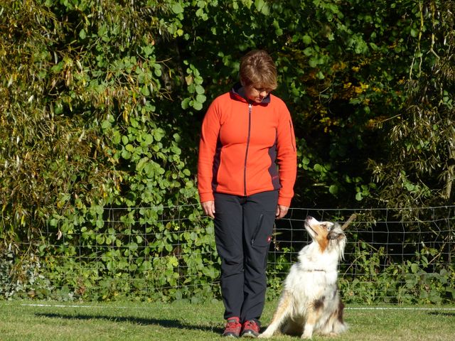 Obi-pruefung-herbst 2018