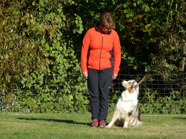 Obi-pruefung-herbst 2018