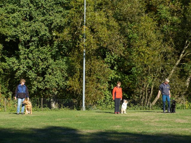 Obi-pruefung-herbst 2018