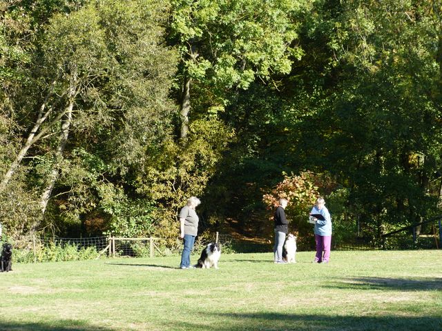 Obi-pruefung-herbst 2018