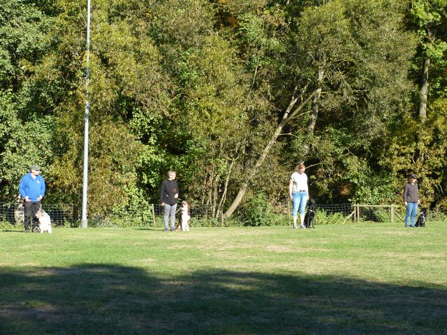 Obi-pruefung-herbst 2018