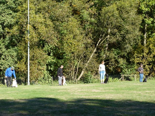 Obi-pruefung-herbst 2018