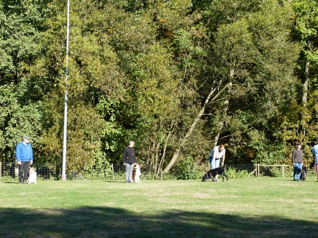 Obi-pruefung-herbst 2018