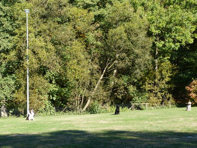 Obi-pruefung-herbst 2018