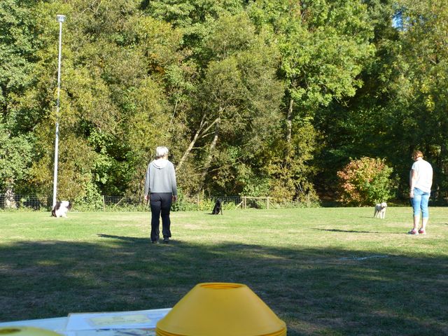Obi-pruefung-herbst 2018
