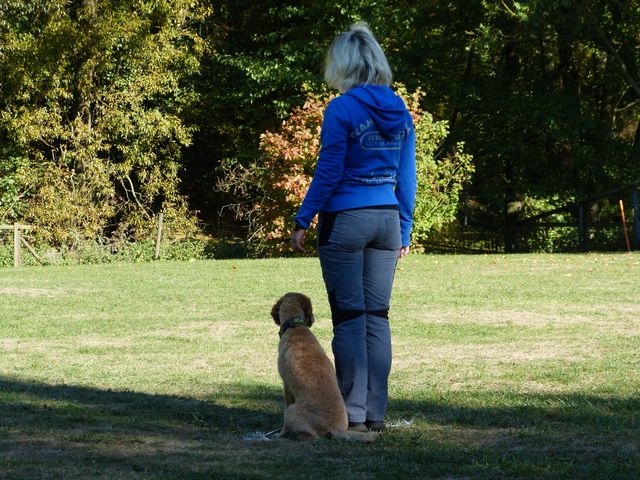 Obi-pruefung-herbst 2018