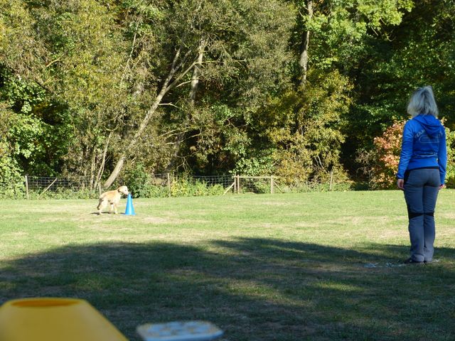 Obi-pruefung-herbst 2018