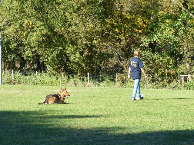Obi-pruefung-herbst 2018
