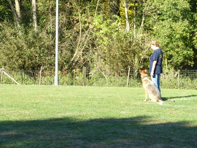 Obi-pruefung-herbst 2018