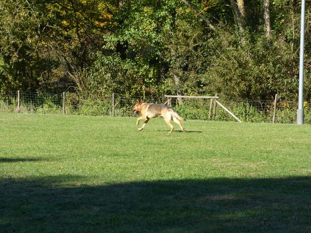 Obi-pruefung-herbst 2018
