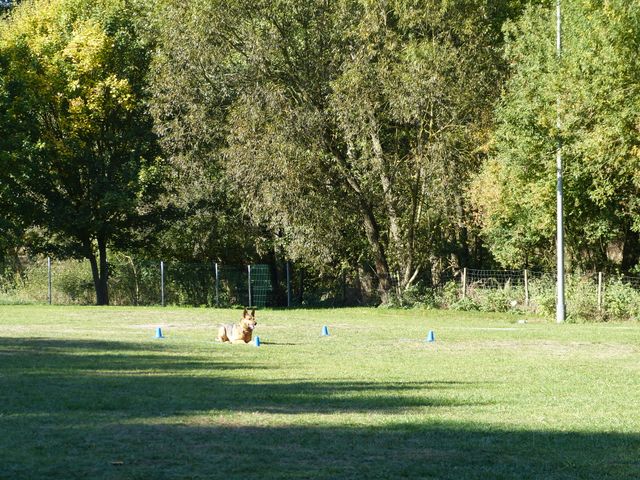 Obi-pruefung-herbst 2018