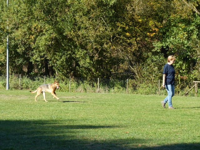 Obi-pruefung-herbst 2018
