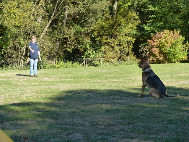 Obi-pruefung-herbst 2018