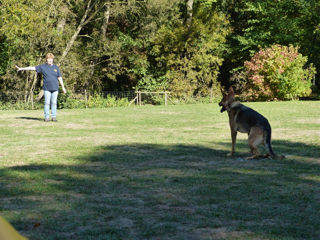 Obi-pruefung-herbst 2018