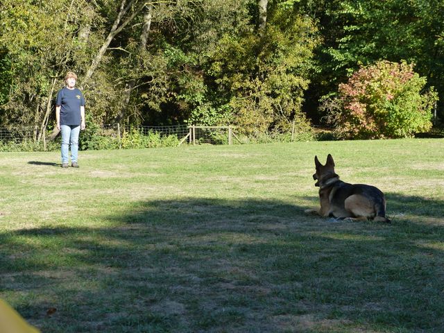 Obi-pruefung-herbst 2018