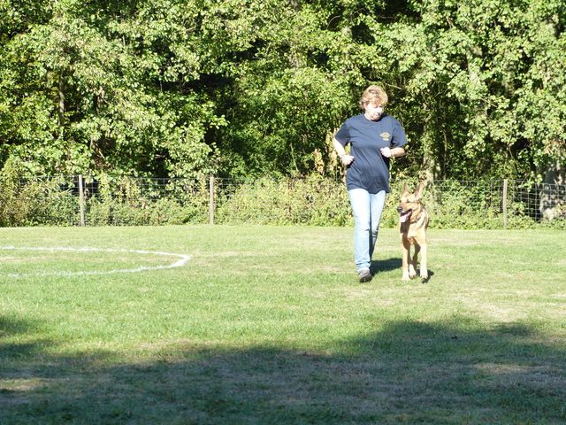 Obi-pruefung-herbst 2018