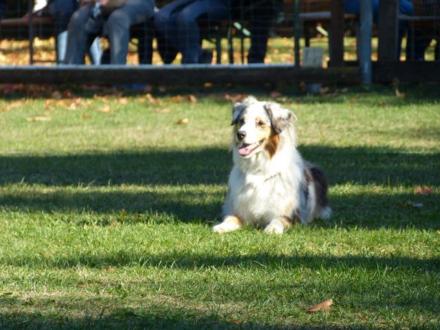 Obi-pruefung-herbst 2018